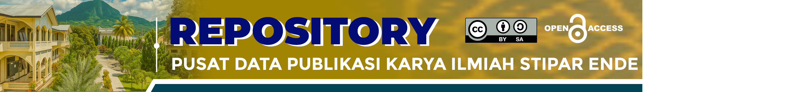 Repository STIPAR Ende