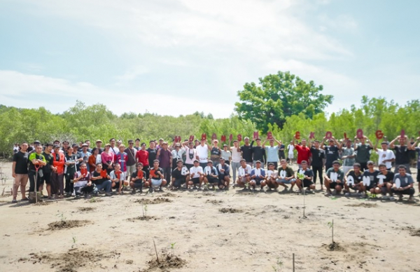 mangrove 2024 2