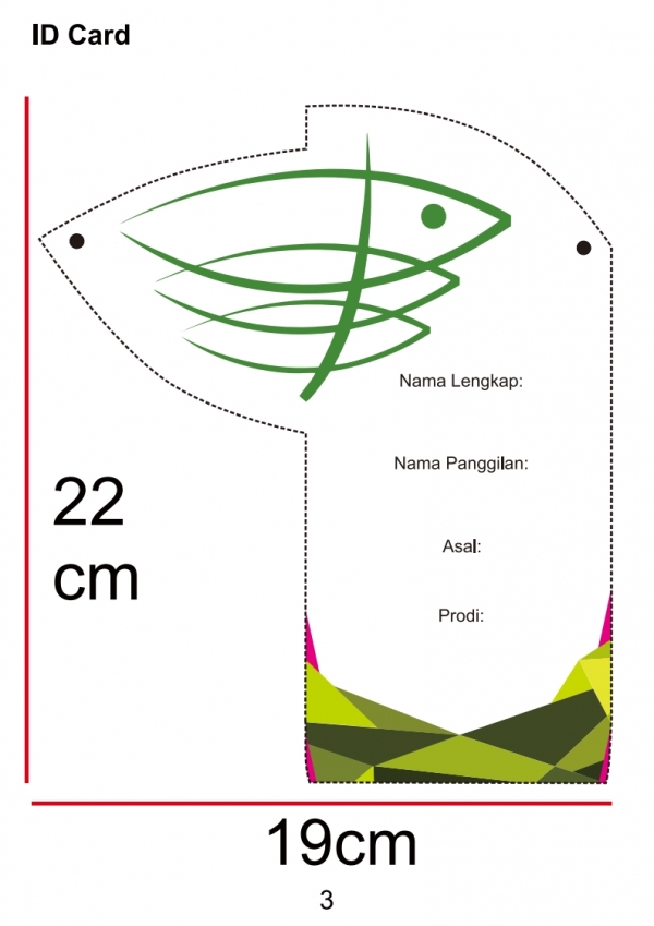 co card camaba 2 003